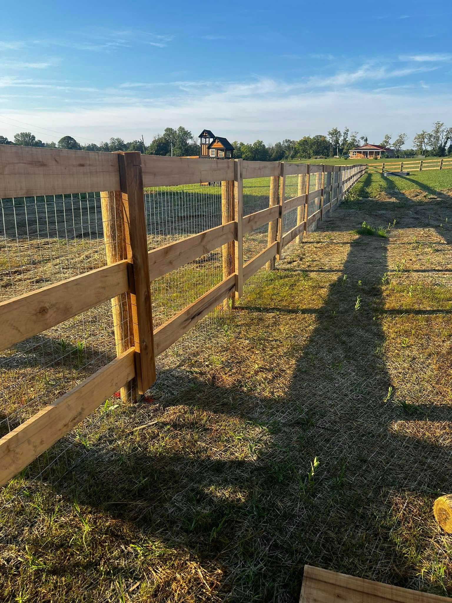 481082483_122198927006170867_5376907881980449175_n